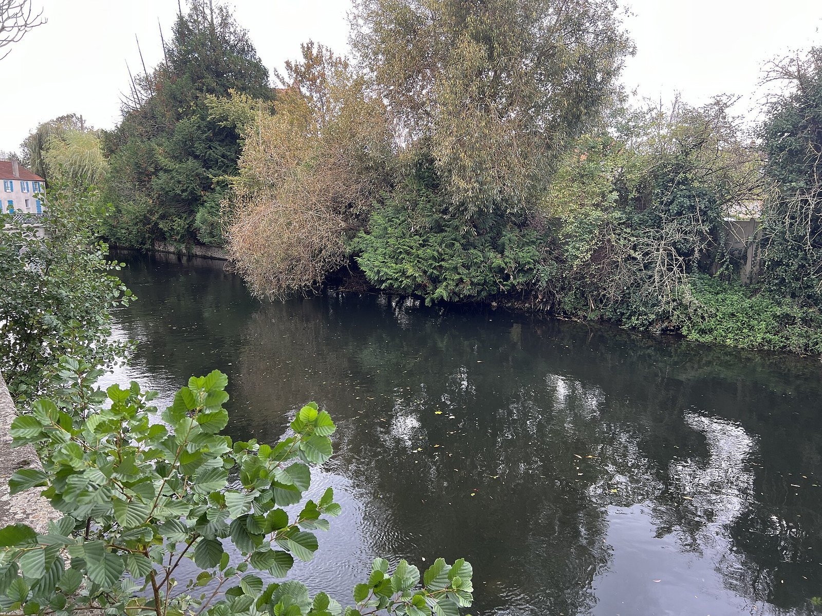 La rivière Essonne bordée d'arbres à Corbeil-Essonnes