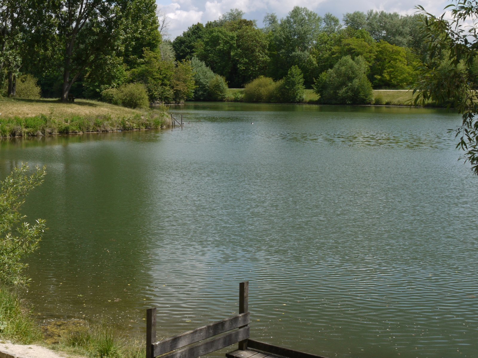 Bassin en eau dans la vallée de l’Orge à Saint-Michel-sur-Orge, bordé d’arbres