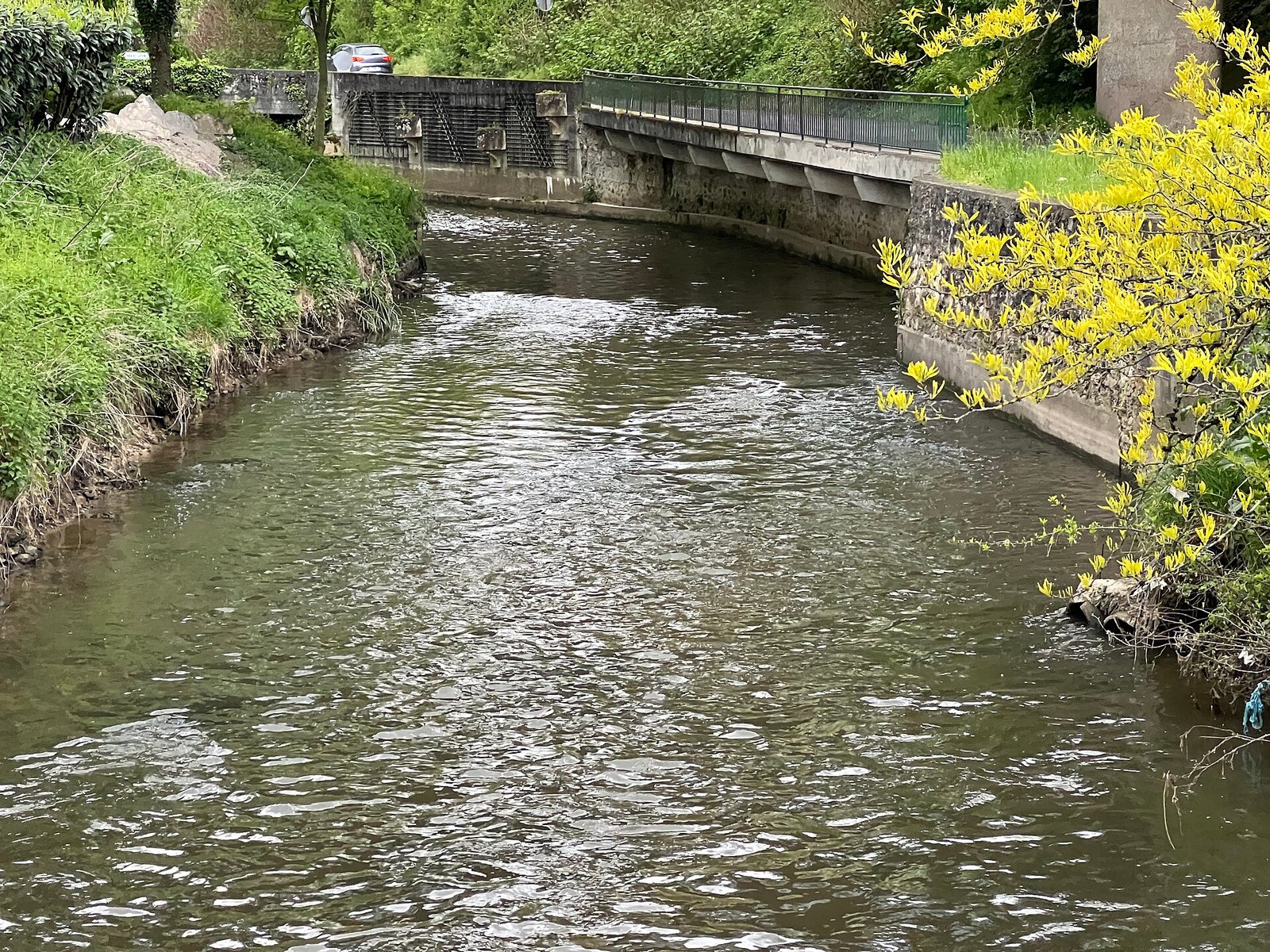 L'Orge entre ses berges végétalisées à Savigny-sur-Orge